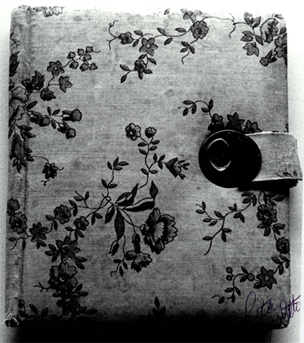 Diary cover