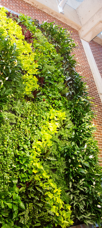 Sustainability