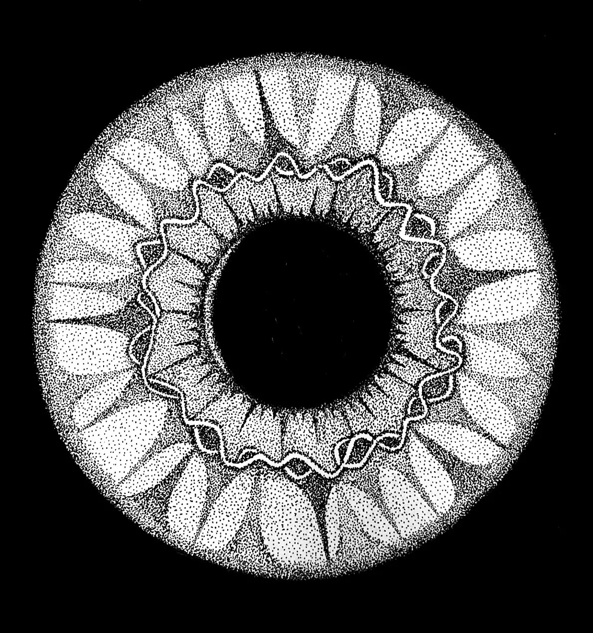 center of the eye artwork