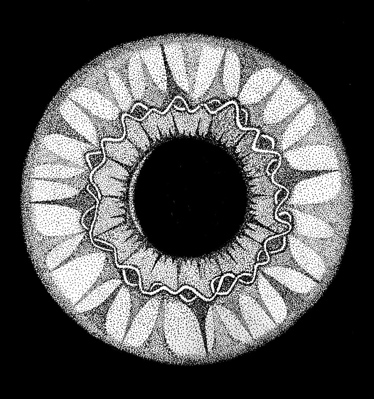 center of the eye artwork