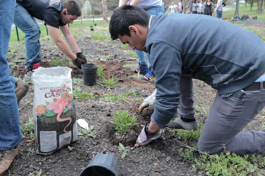 students planting in rain garden