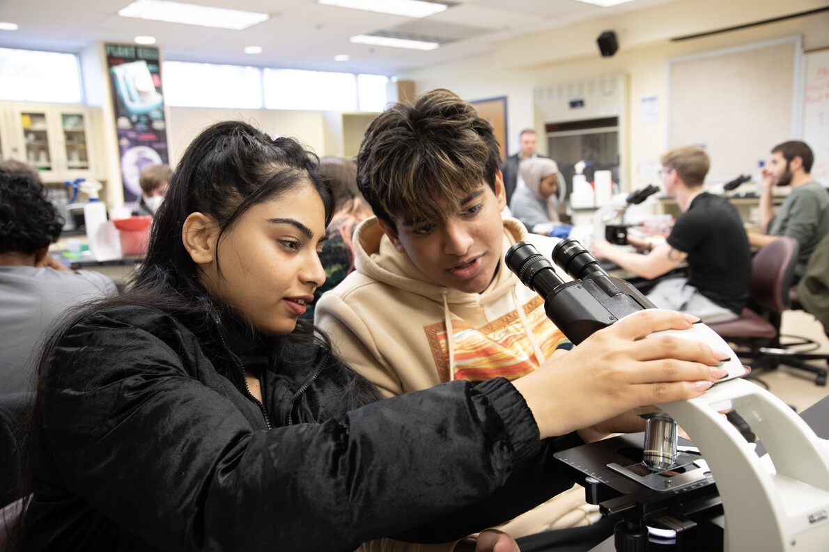 female and male student looking intro microscope in classroom