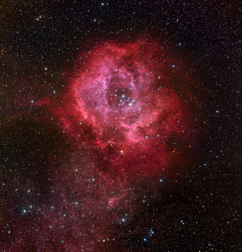 part of a rosette nebula image in space