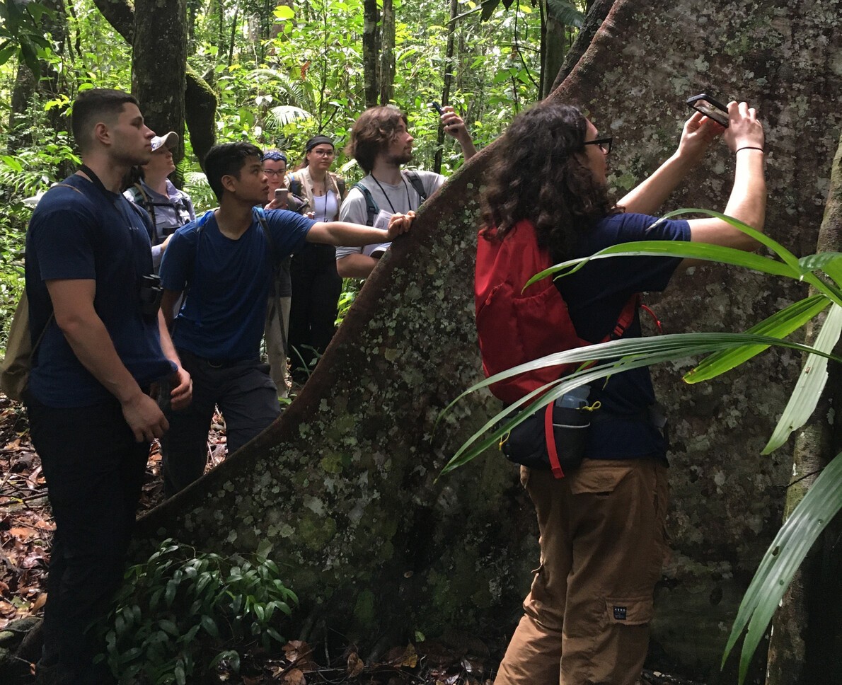 environmental science students near large tree in brazil
