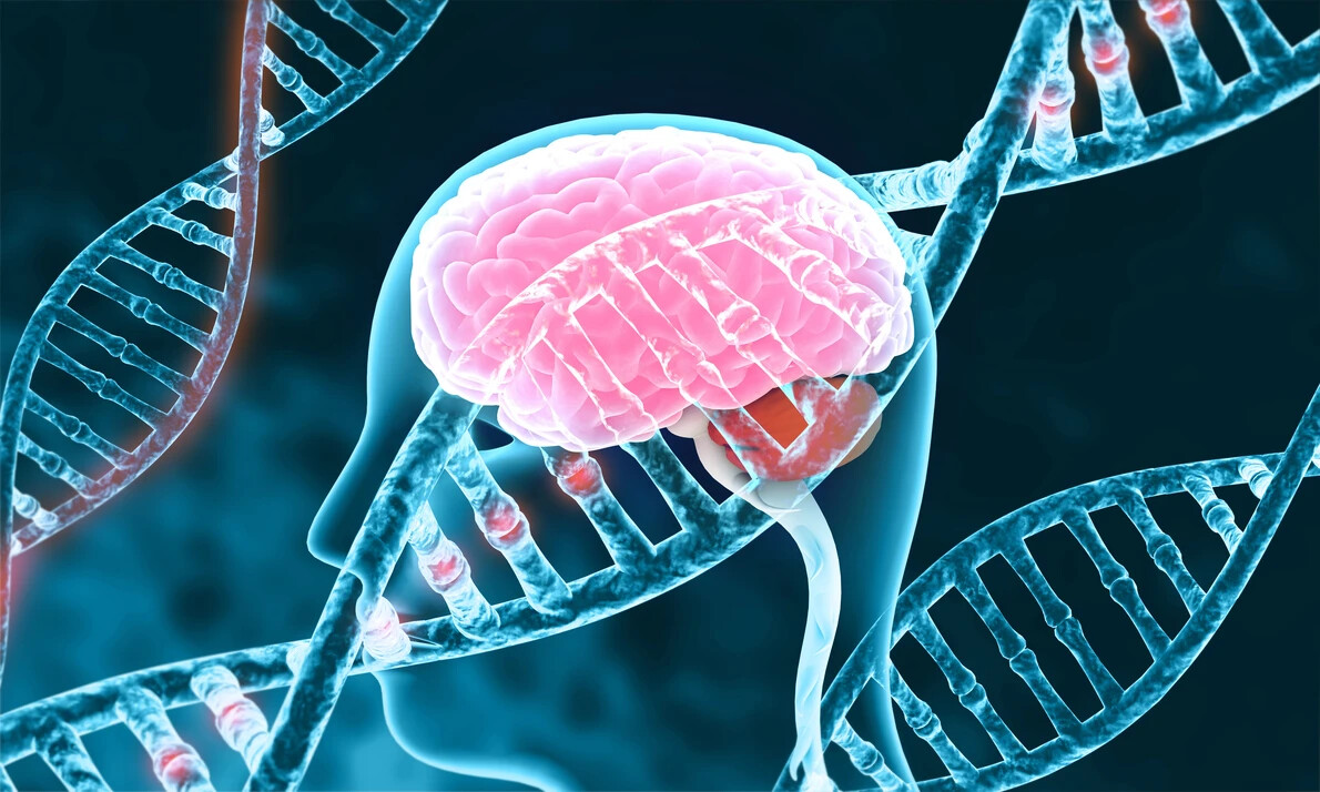 human brain with dna