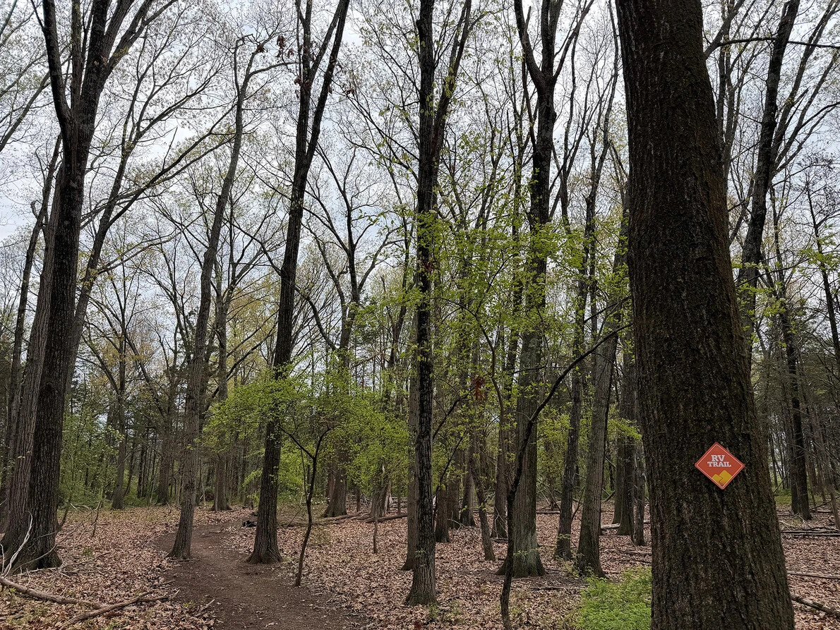 rv trail sign on tree in woods