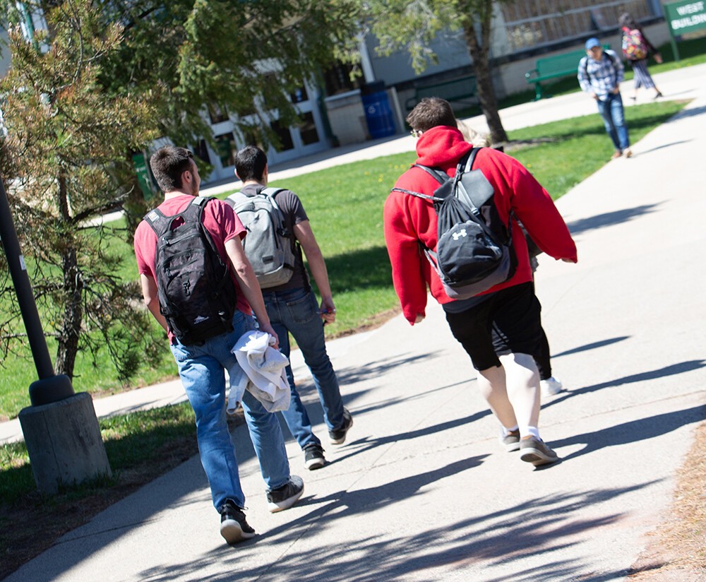 back view of students walking on campus