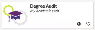 Degree Audit
