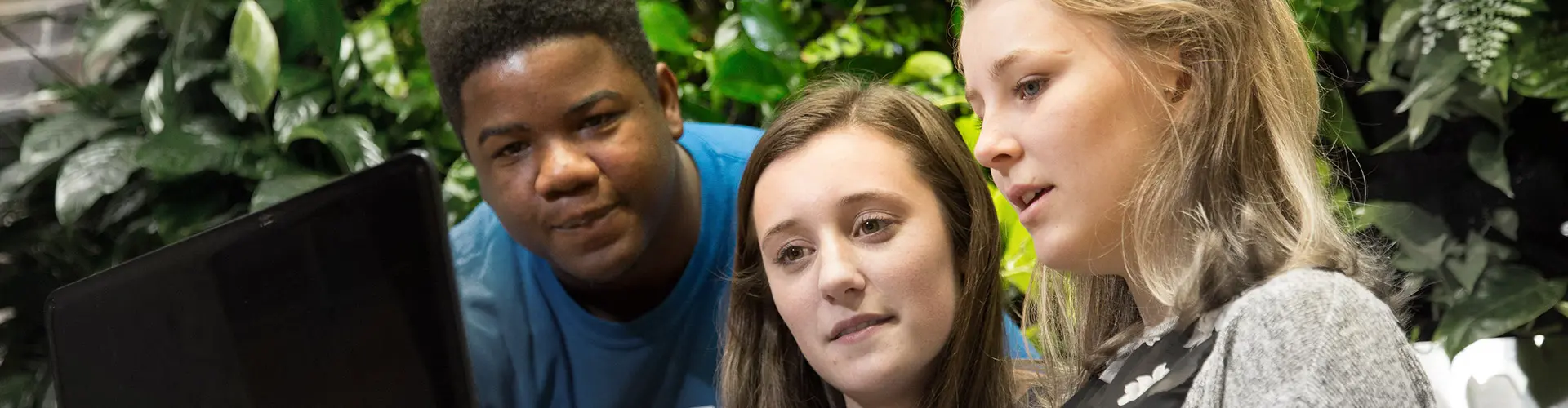 Center for Accessibility and Inclusive Education
