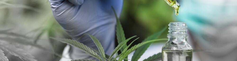 Cannabis Dispensary Training