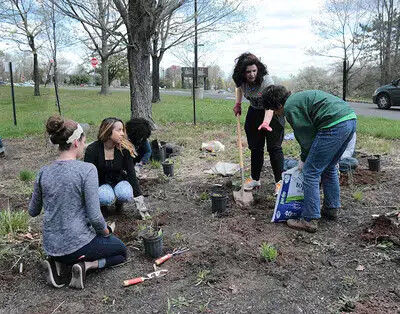 students working in rain garden