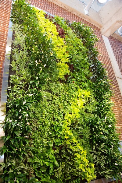 green wall on brick background