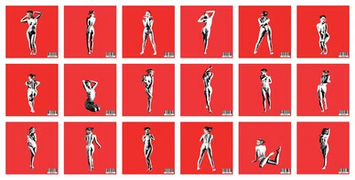 The Female Identity artwork