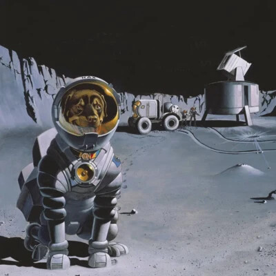max goes to the moon image