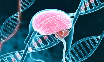 human brain with dna