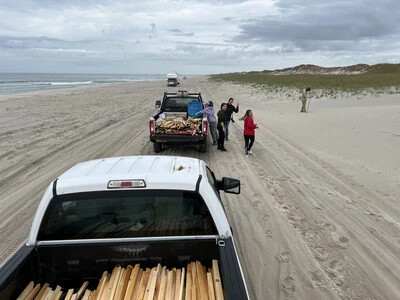 student interns with trucks on beach