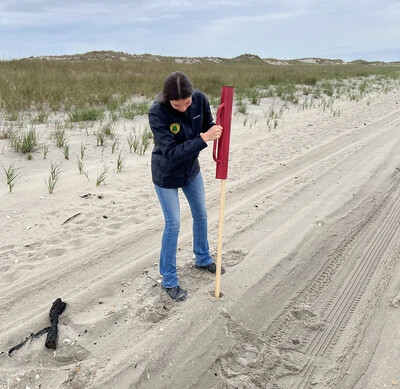student intern working on beach