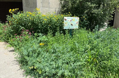 pollinator garden with sign