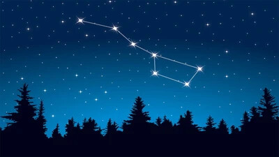 Illustration of a clear night sky filled with stars above a dark forest silhouette. A Big Dipper is highlighted in the upper right portion of the sky,
