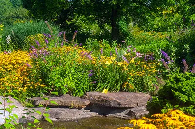 butterfly garden