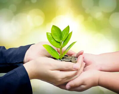 hands holding tree growing coins