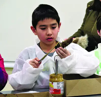 little scientist night