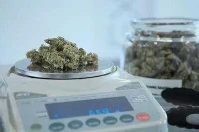 medical cannabis on scale