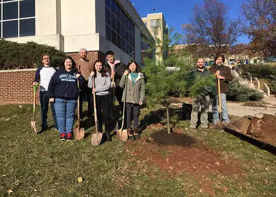 space pine tree planting