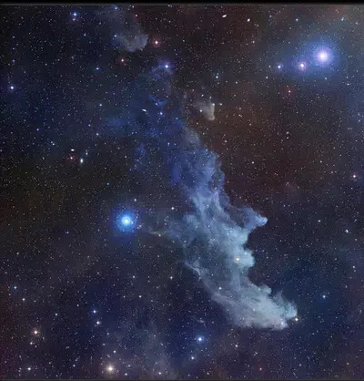 cropped witch head image