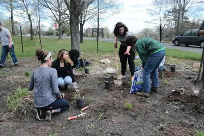 students working in rainwater garden