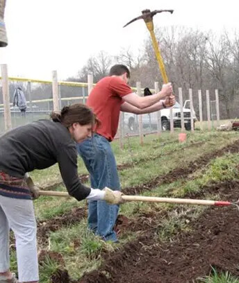 Service Learning
