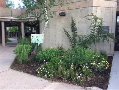 planting outside planetarium