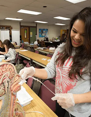 nursing degree in new jersey