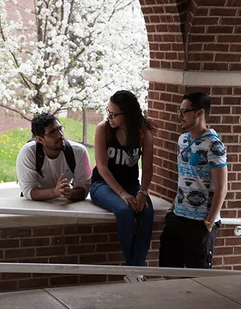 Honors Course Options