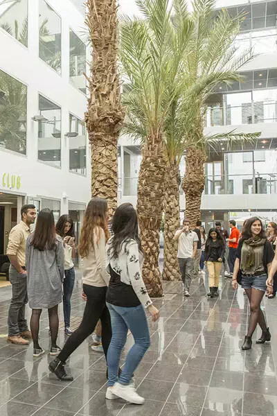 rennes with palm trees