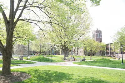la salle quad