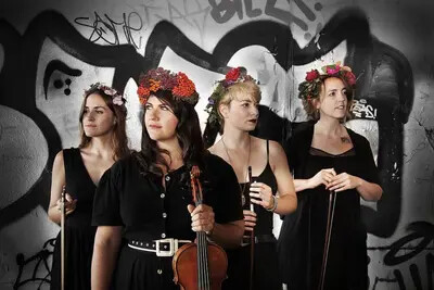 laura cortese and the dance cards