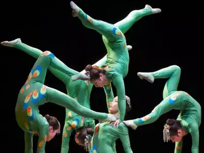 New Shanghai Circus
