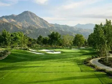 palm springs