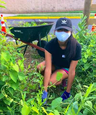 student working on butterfly garden