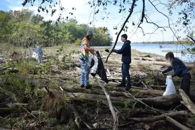 cleaning preserve