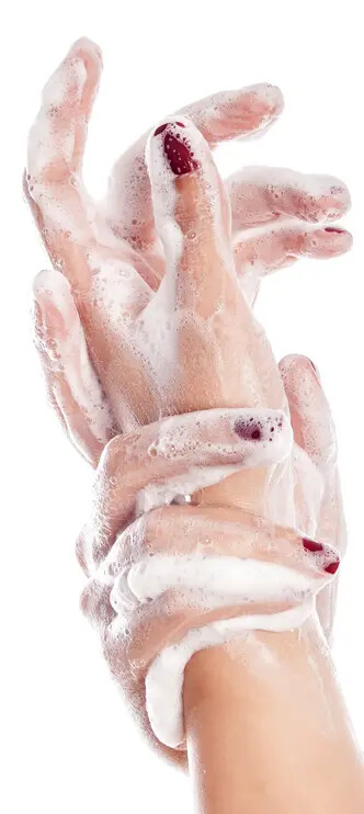wash hands