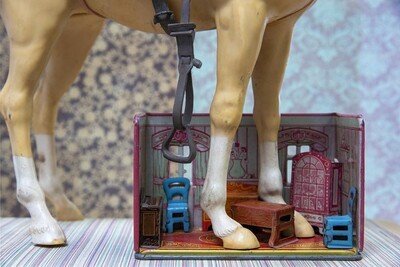 Horse Legs color photograph