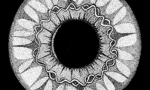 center of the eye artwork