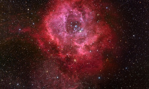 part of a rosette nebula image in space