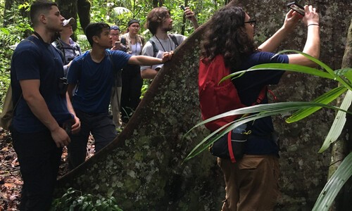 environmental science students near large tree in brazil