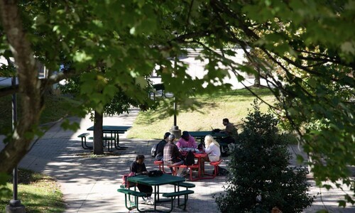 students sitting at picnic tables outside