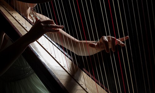female harp player