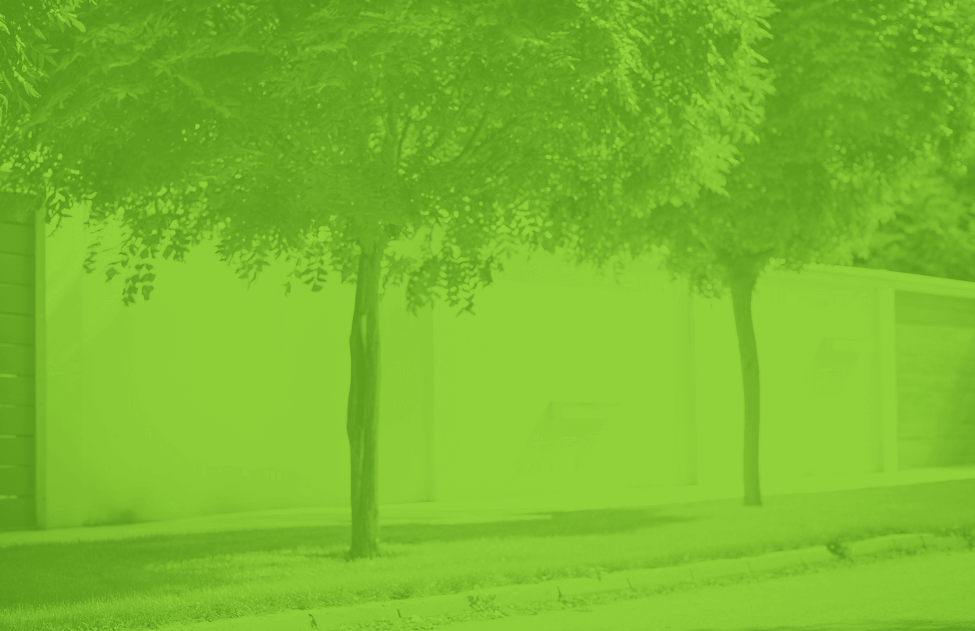Green scenery