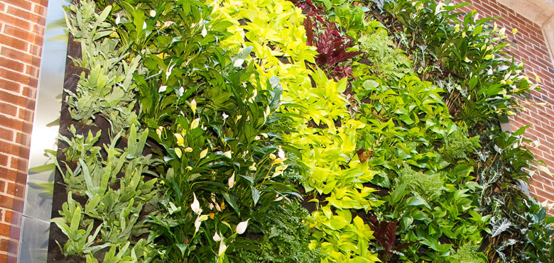RVCC Honored with Federal Green Ribbon Award; One of Only 11 Colleges in U.S. Selected